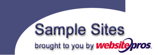 Sample Web Sites Brought to You by Website Pros